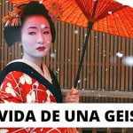 ¿Qué es una geisha y Danna? 2