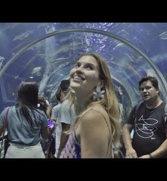 ¿Cuál es el mejor acuario de Latinoamérica? 1