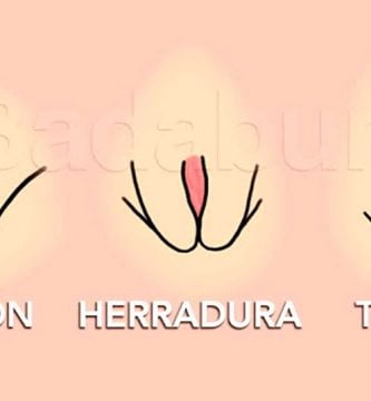 Los 7 tipos de vaginas: descubre sus formas, tamaños y características 1
